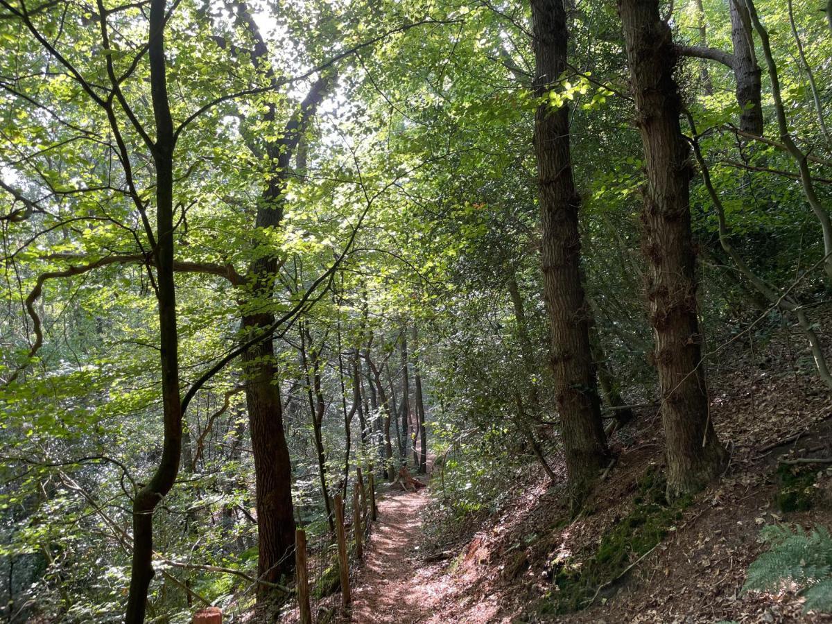 The Forester Schoorl Luaran gambar